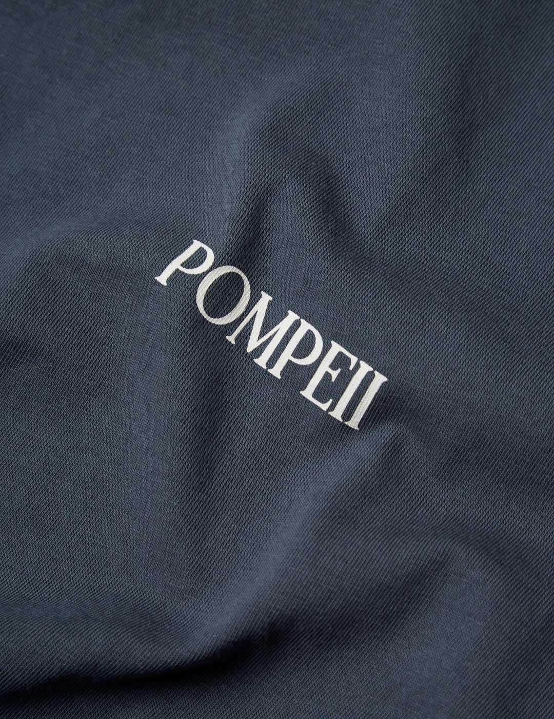 Pompeii Brand Chees camiseta gris para hombre y mujer