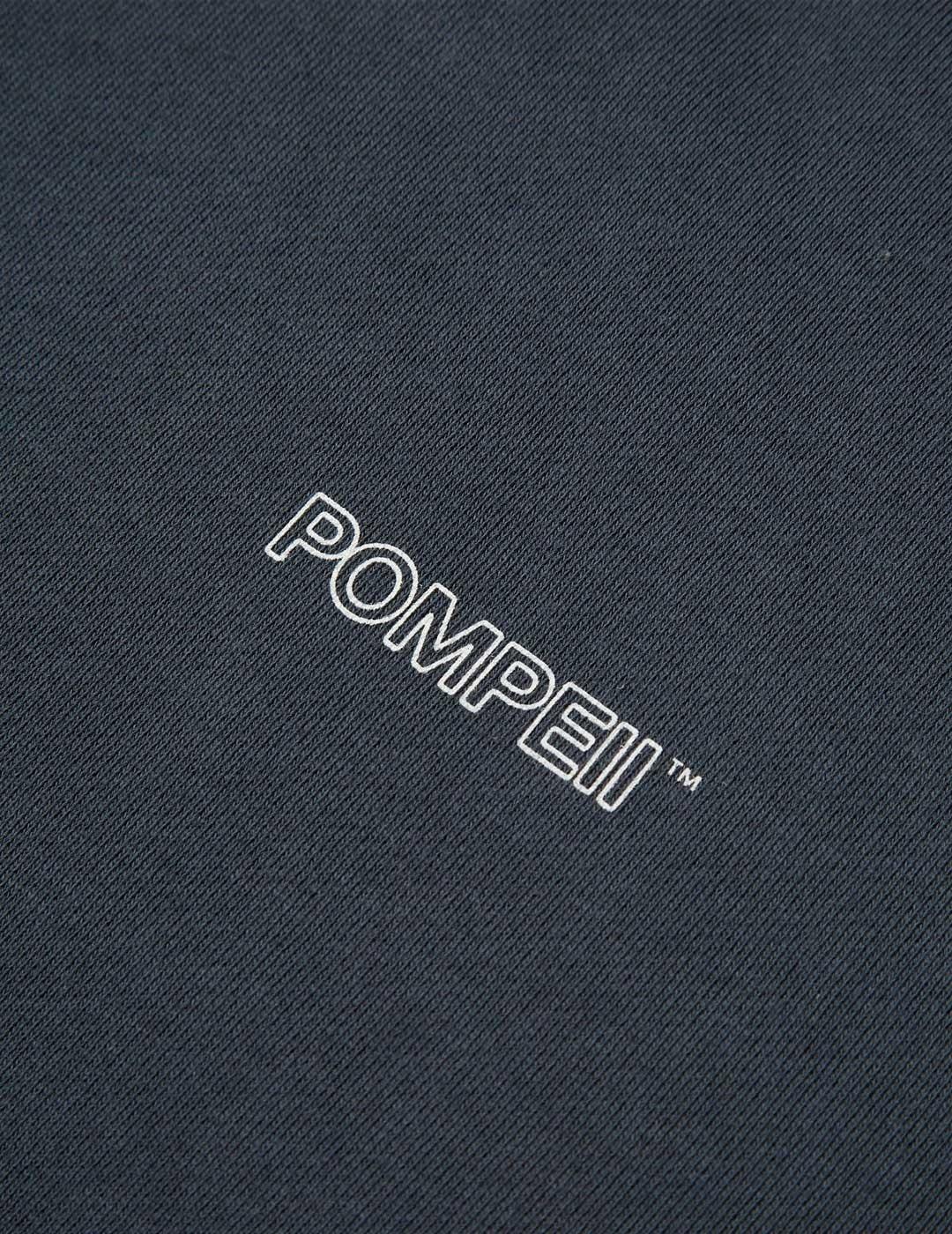 Pompeii Brand Soulful sudadera gris pra hombre y mujer