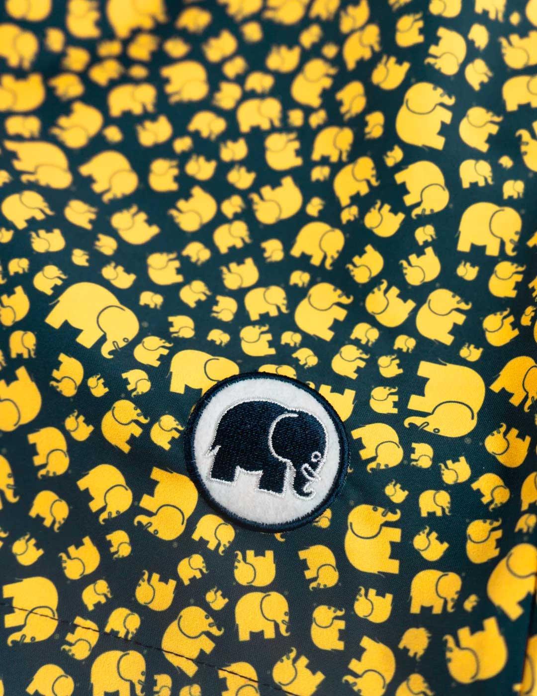 Bañador Trendsplant Manada Sequal amarillo