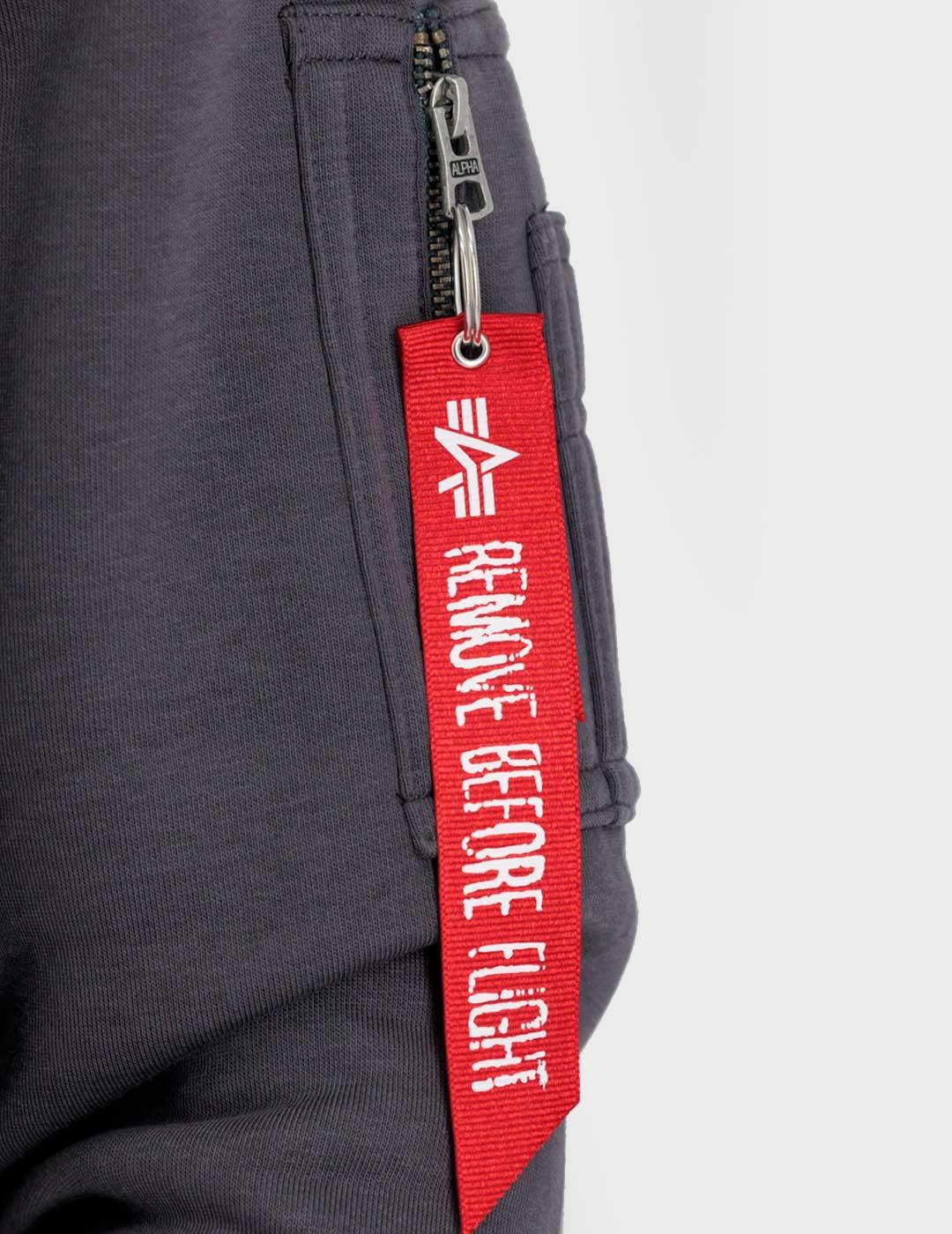 Sudadera Alpha Industries Back Print Hoody gris para hombre