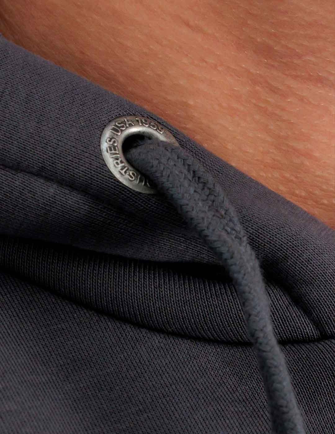 Sudadera Alpha Industries Back Print Hoody gris para hombre